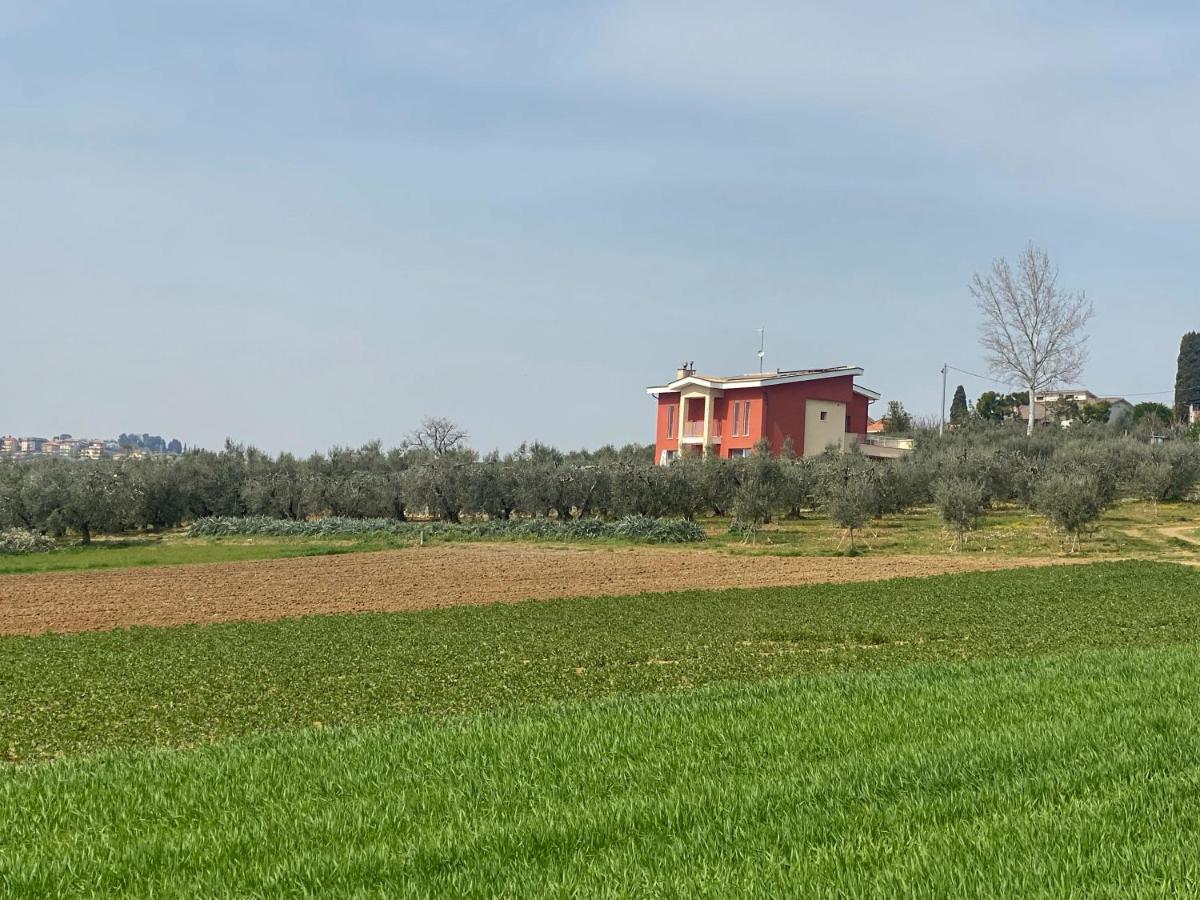 Olea b&b Montecosaro  Exterior foto