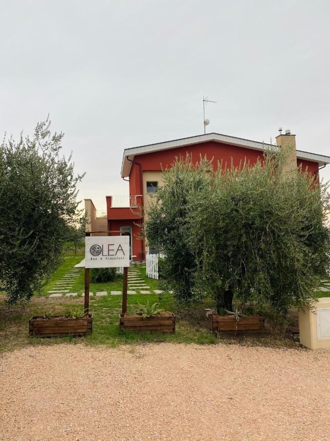 Olea b&b Montecosaro  Exterior foto